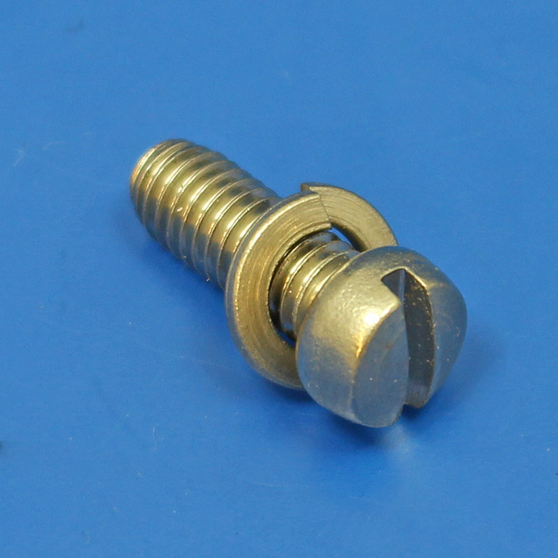 Fuel Pump Screw - Fillister